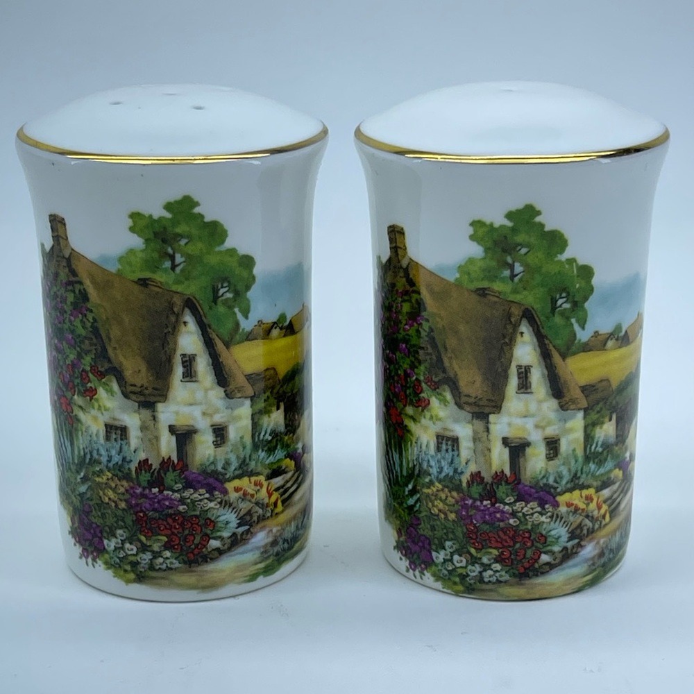 Sheltonian England Salt Pepper Shakers Fine Bone China English Vintage House